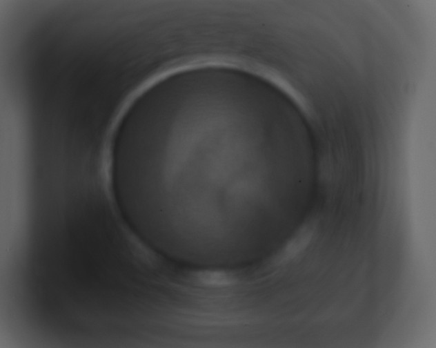 X0000101391508200807071146