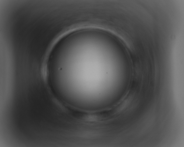 X0000101391511200807071146