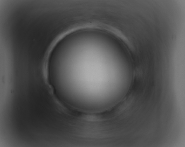X0000101391512200807071146