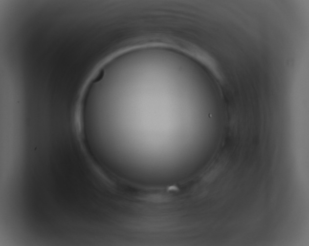 X0000101391516200807071146