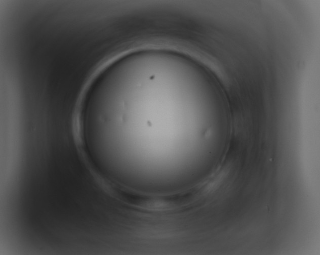 X0000101391517200807071146
