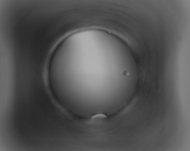 X0000101391518200807071146