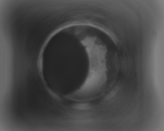 X0000101391519200807071147