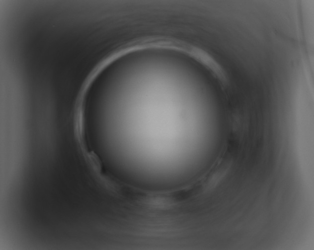 X0000101391520200807071147