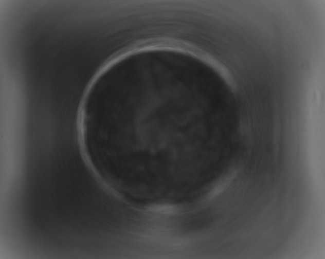 X0000101391522200807071147