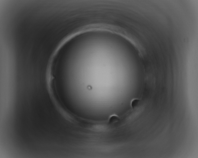 X0000101391523200807071147