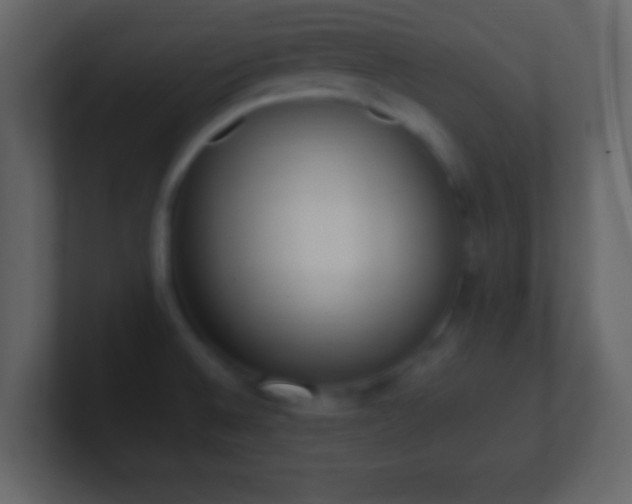 X0000101391524200807071147