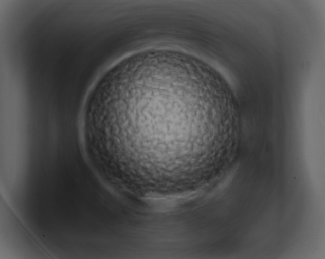 X0000101391525200807071147