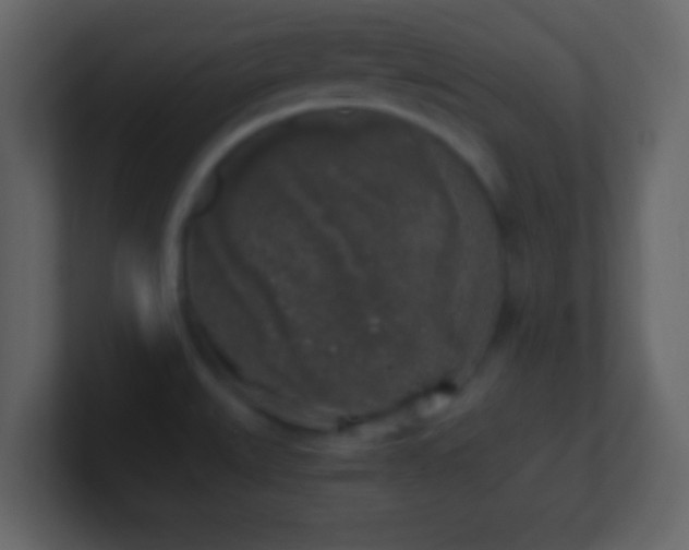 X0000101391527200807071147