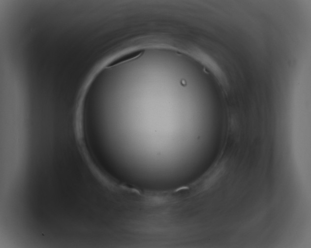 X0000101391528200807071147