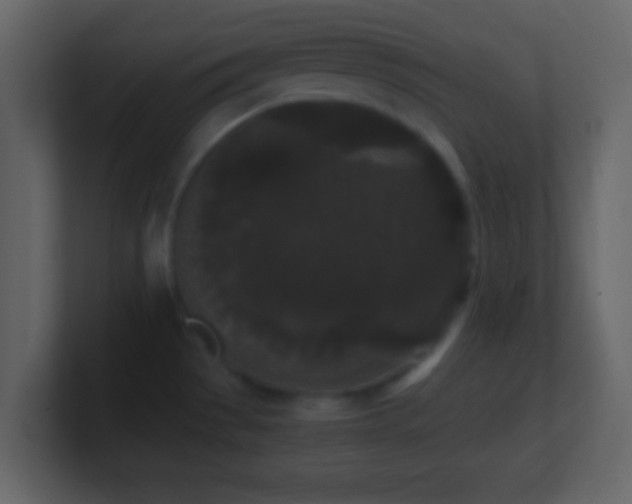 X0000101391529200807071147