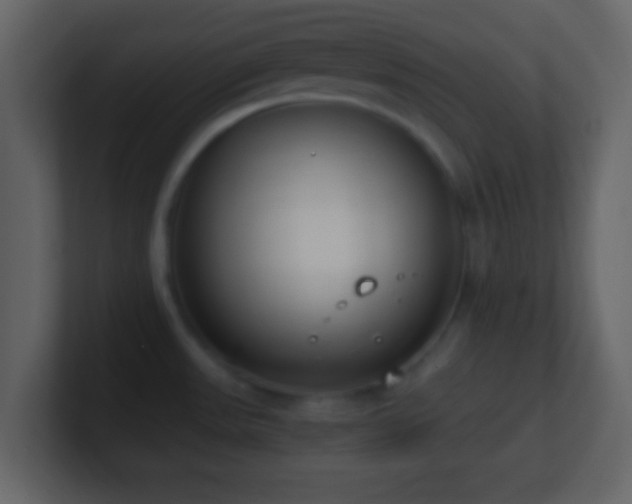 X0000101391531200807071147