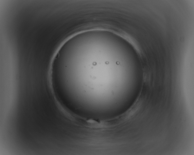 X0000101391532200807071147