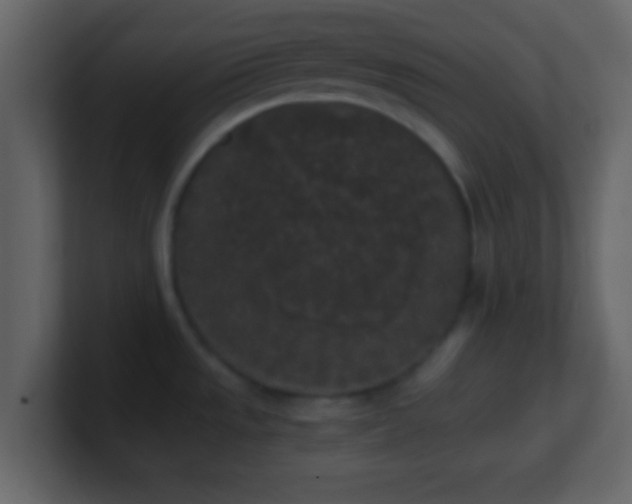 X0000101391533200807071147