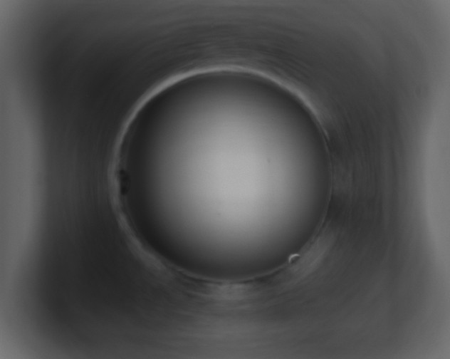 X0000101391534200807071147