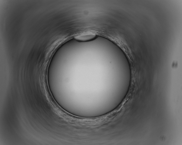 X0000101390001200807141144