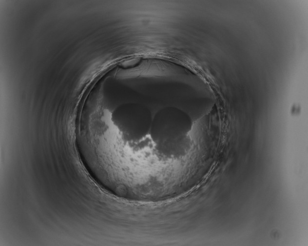 X0000101390002200807141144