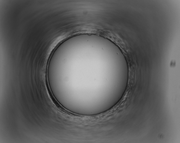 X0000101390003200807141144