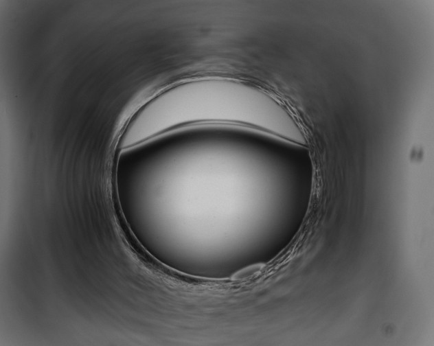 X0000101390004200807141144