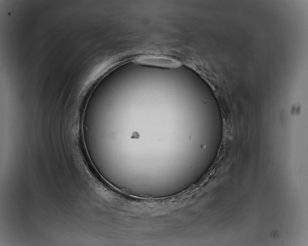 X0000101390005200807141144