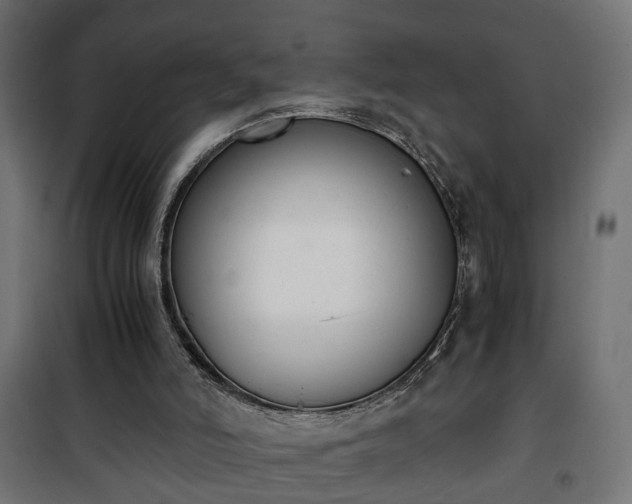 X0000101390006200807141144