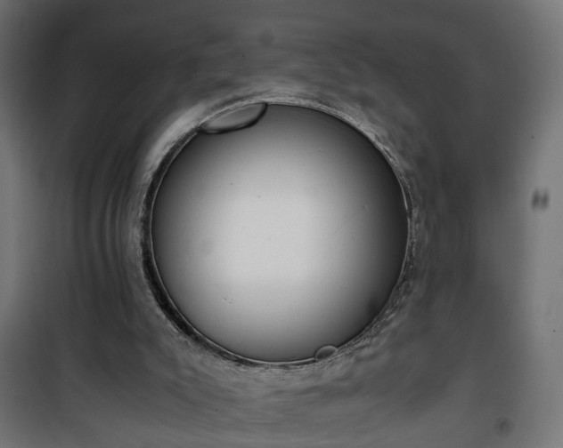 X0000101390007200807141144