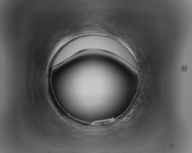 X0000101390008200807141144