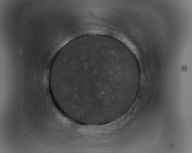 X0000101390009200807141144