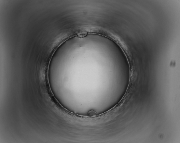 X0000101390010200807141144