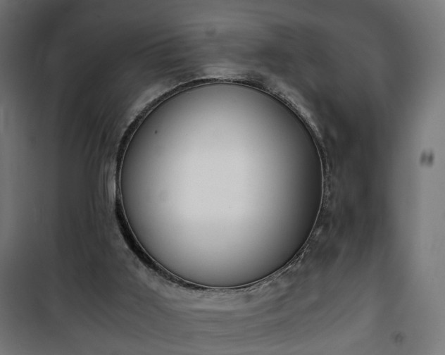 X0000101390011200807141144