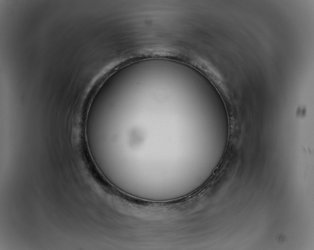 X0000101390012200807141144