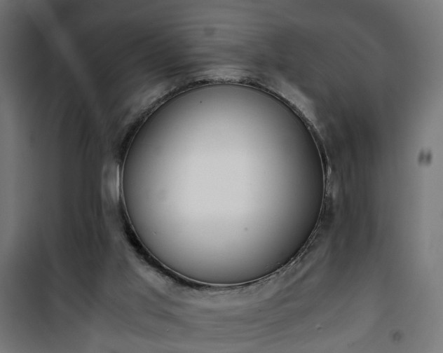 X0000101390013200807141143