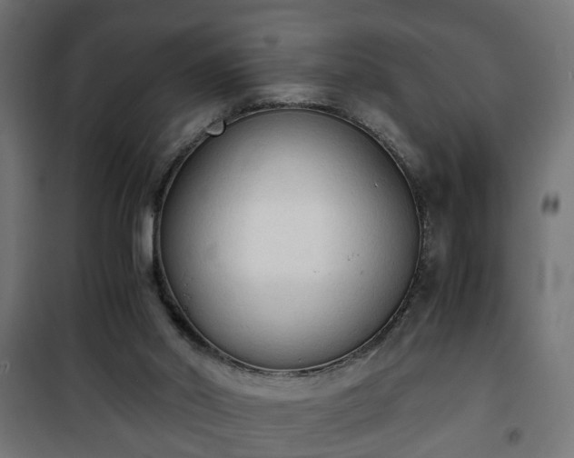 X0000101390014200807141143