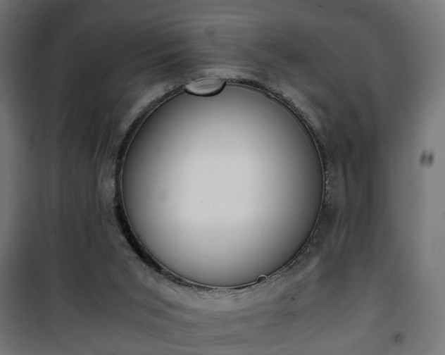 X0000101390015200807141143