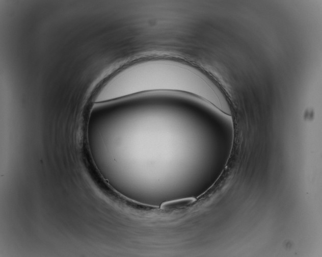 X0000101390016200807141143