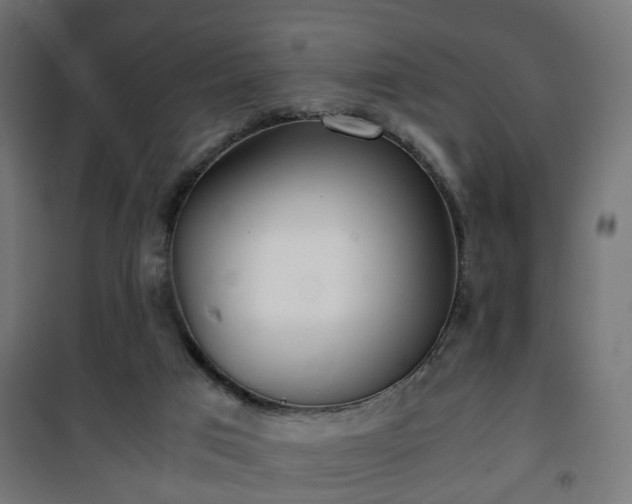 X0000101390017200807141143