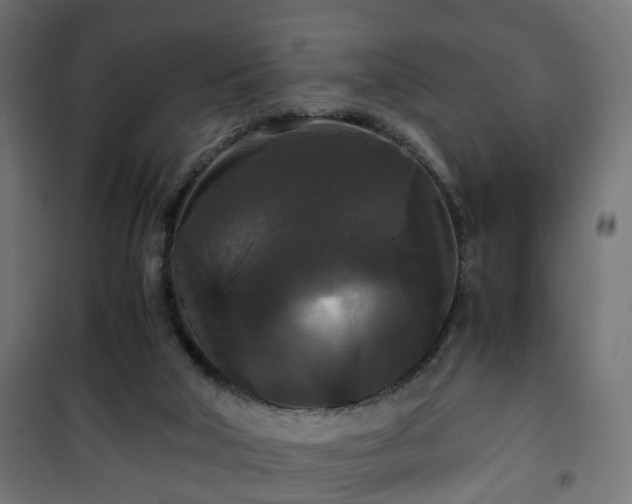 X0000101390018200807141143