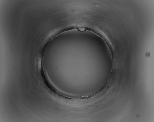 X0000101390019200807141143