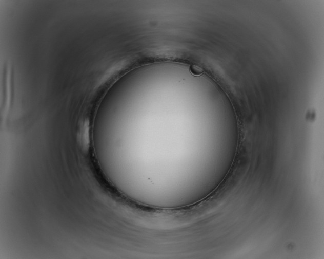 X0000101390020200807141143