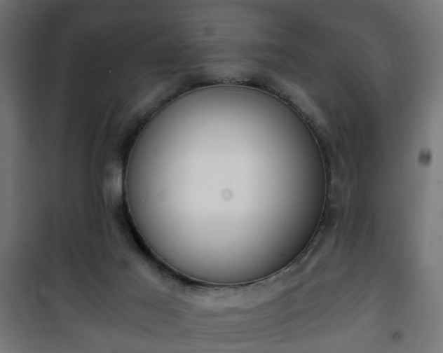 X0000101390021200807141143