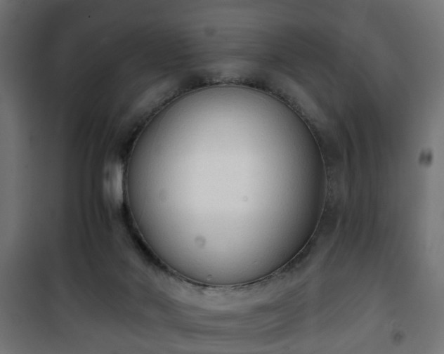 X0000101390022200807141143