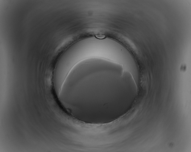 X0000101390023200807141143