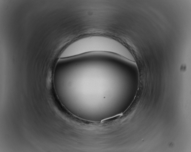 X0000101390024200807141143