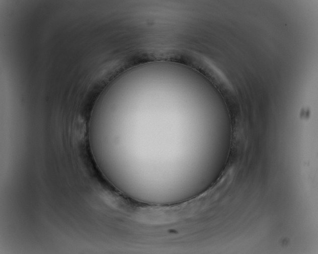 X0000101390025200807141143