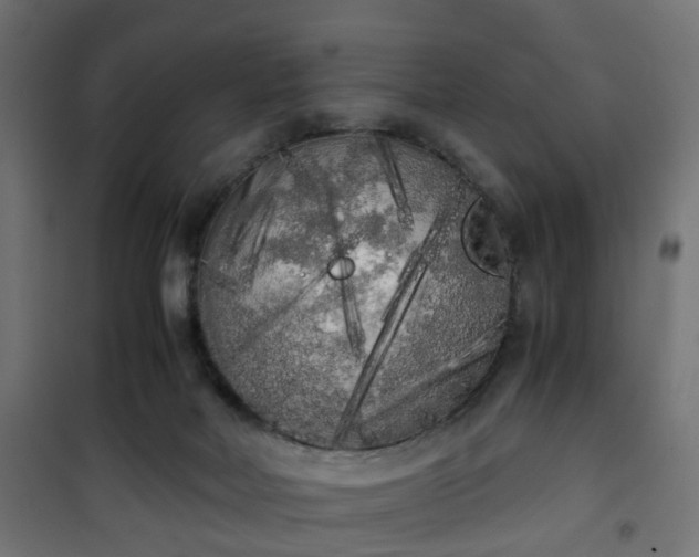 X0000101390026200807141143