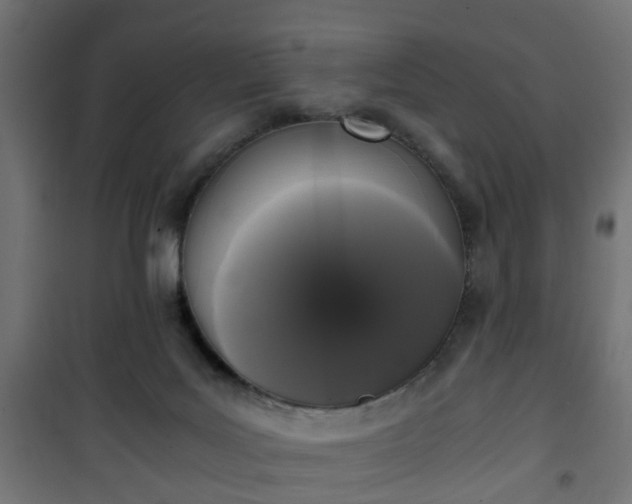 X0000101390027200807141143