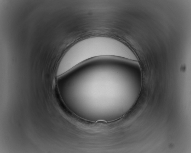 X0000101390028200807141143