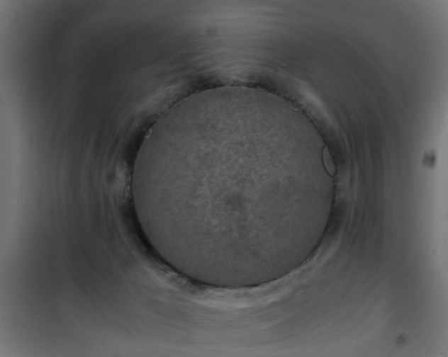 X0000101390029200807141143