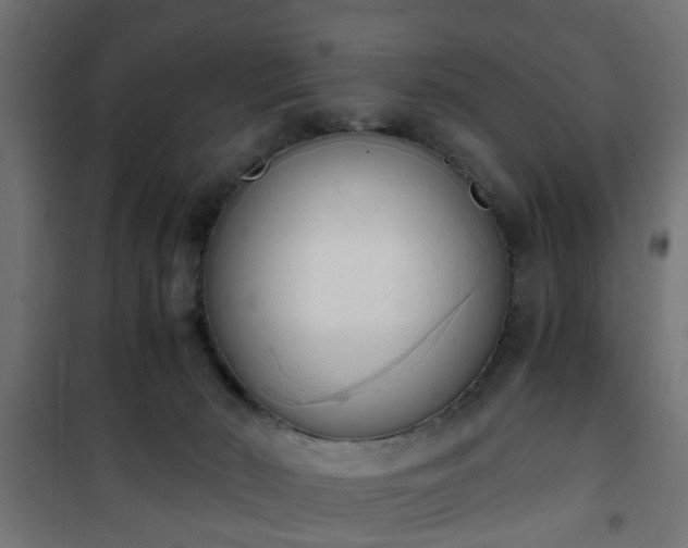 X0000101390030200807141143