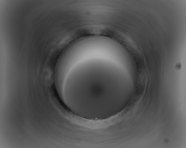 X0000101390031200807141143